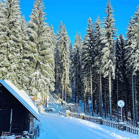 Penzion Horajda Otel Vítkovice Dış mekan fotoğraf