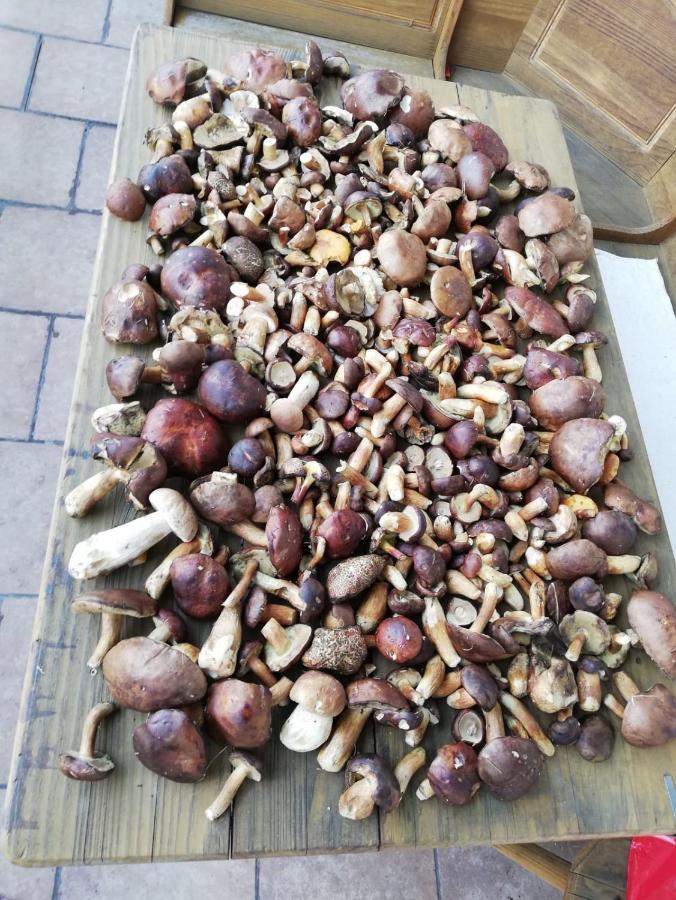 Penzion Horajda Otel Vítkovice Dış mekan fotoğraf