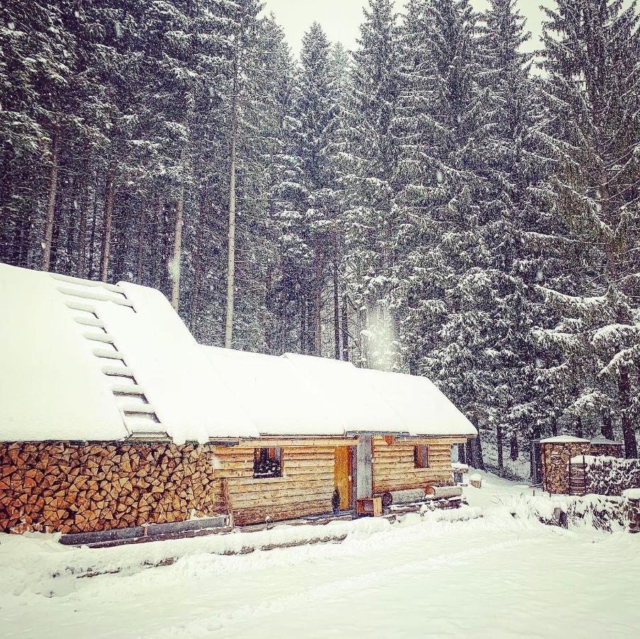 Penzion Horajda Otel Vítkovice Dış mekan fotoğraf