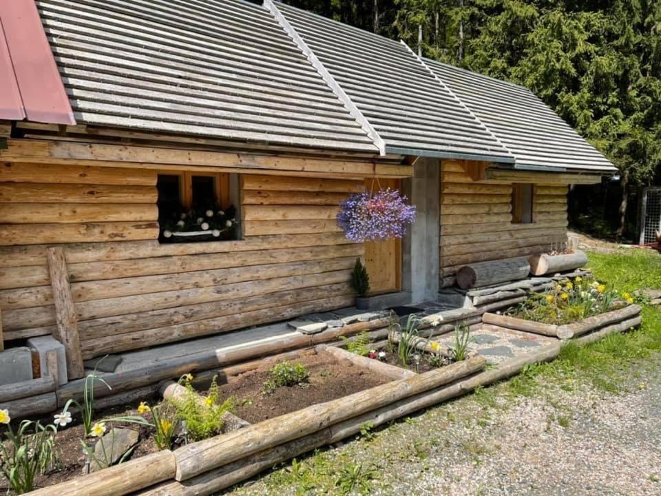 Penzion Horajda Otel Vítkovice Dış mekan fotoğraf