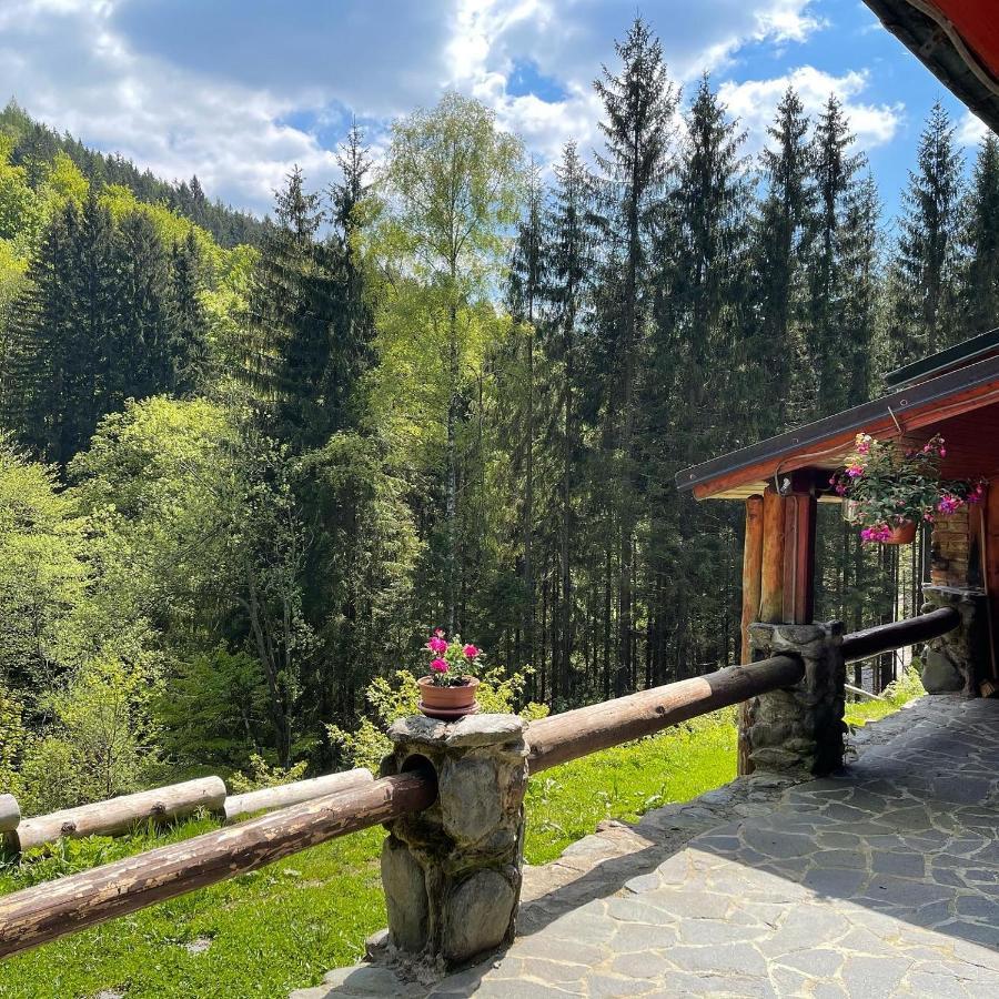 Penzion Horajda Otel Vítkovice Dış mekan fotoğraf