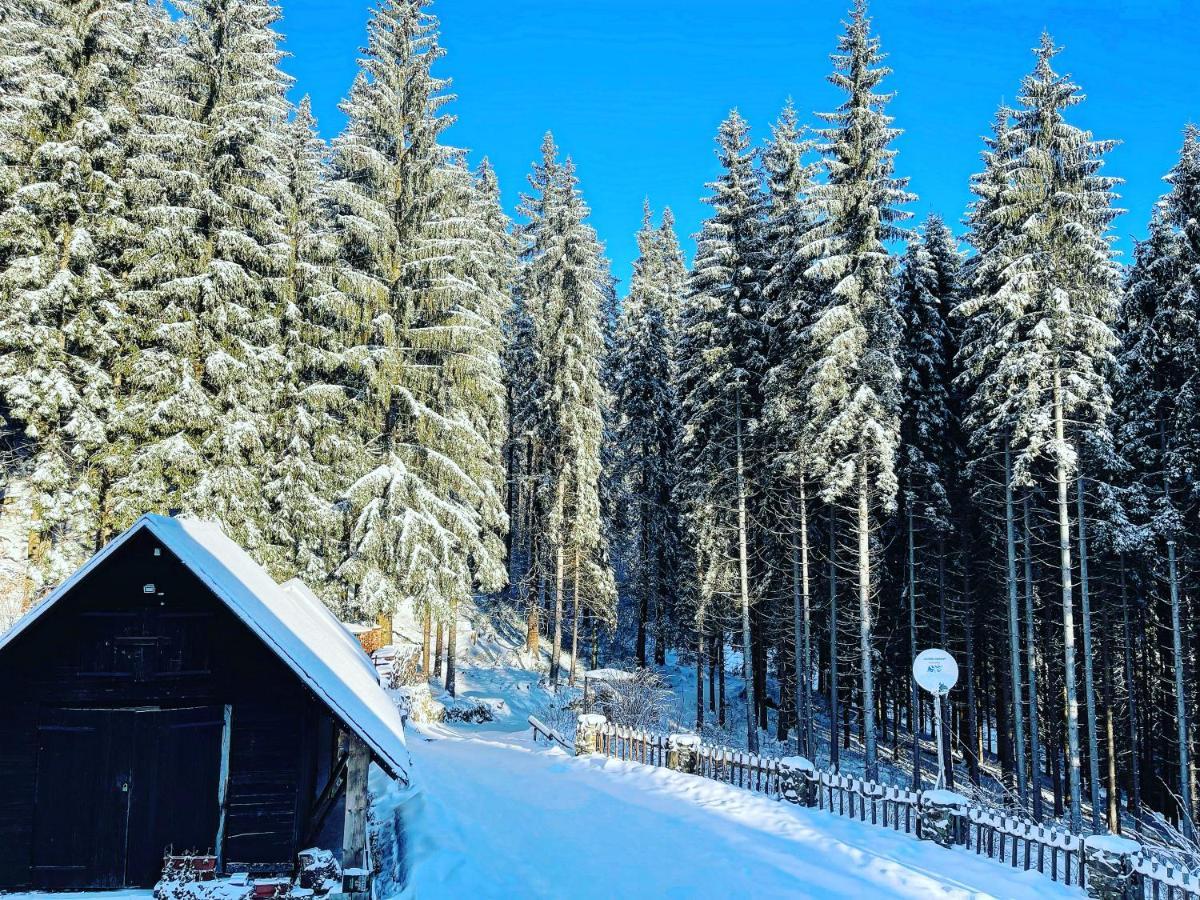 Penzion Horajda Otel Vítkovice Dış mekan fotoğraf