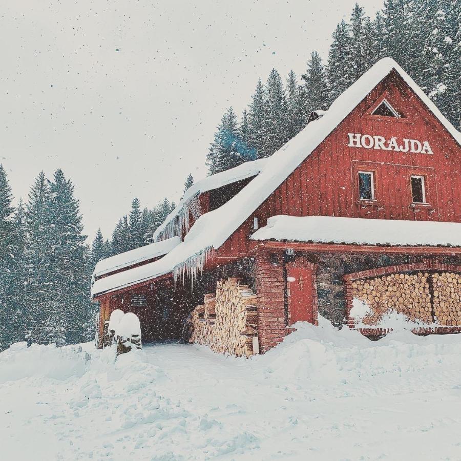 Penzion Horajda Otel Vítkovice Dış mekan fotoğraf